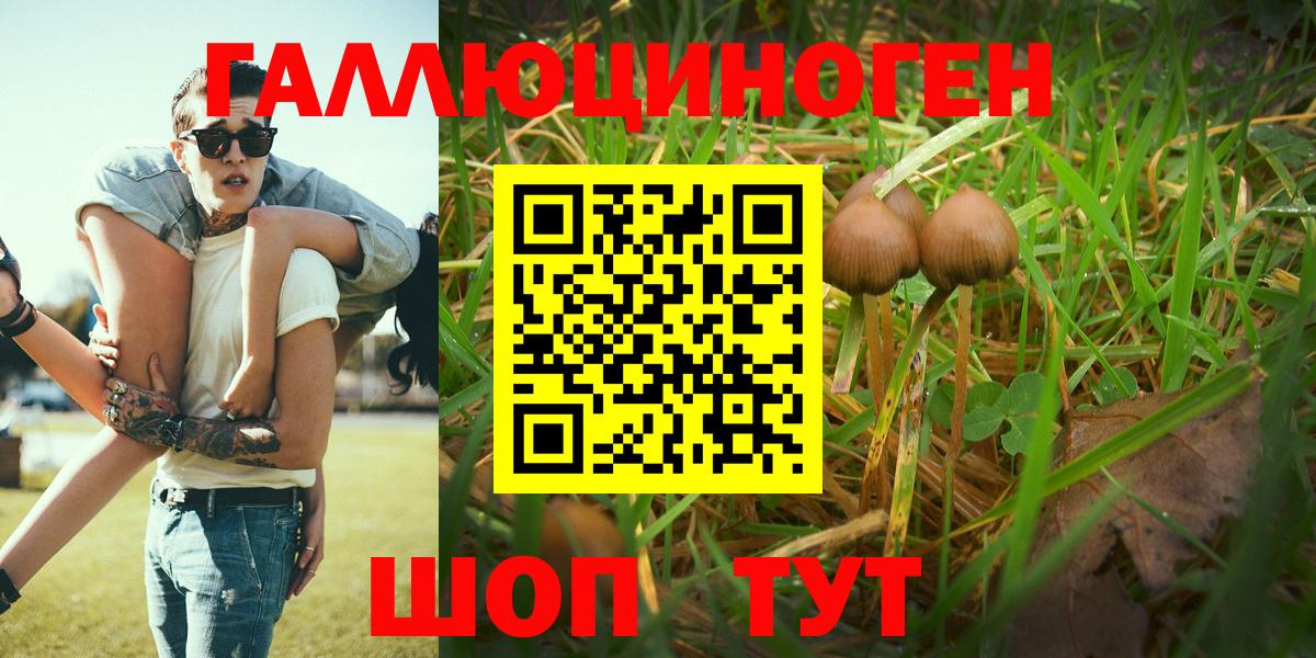 Галлюциногенные грибы MAGIC MUSHROOMS Черкесск